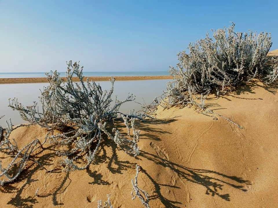 Il Canneto Di Selinunte Маринела ди Селинунте Екстериор снимка