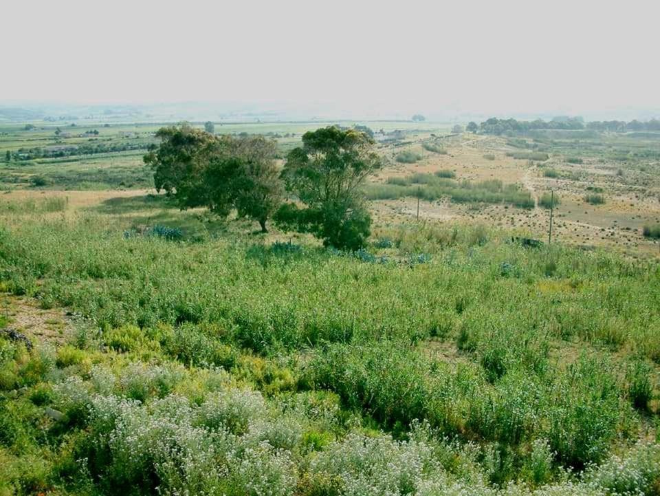 Il Canneto Di Selinunte Маринела ди Селинунте Екстериор снимка